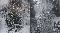 Exposition - Anselm Kiefer - LaM -2-3 - 2010 - 2014