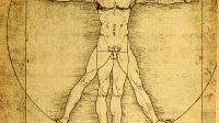 Anatomy art by Leonardo Da Vinci  from 14th century