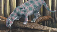 Expo, Sean Landers, Musée chasse et nature - LS2014_4