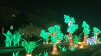 Vue de l'exposition La Jungle en voie d'illumination au jardin des plantes (12)