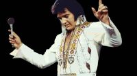 Elvis the show