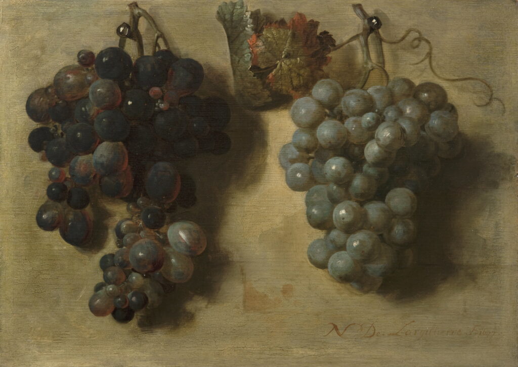 Nicolas de Largillière, Deux grappes de raisin , 1677