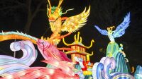 Dragons et Lanternes jardin d'acclimatation