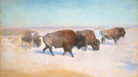 Rosa Bonheur, Étude pour l'Émigration des bisons, fin XIXe © Christie’s