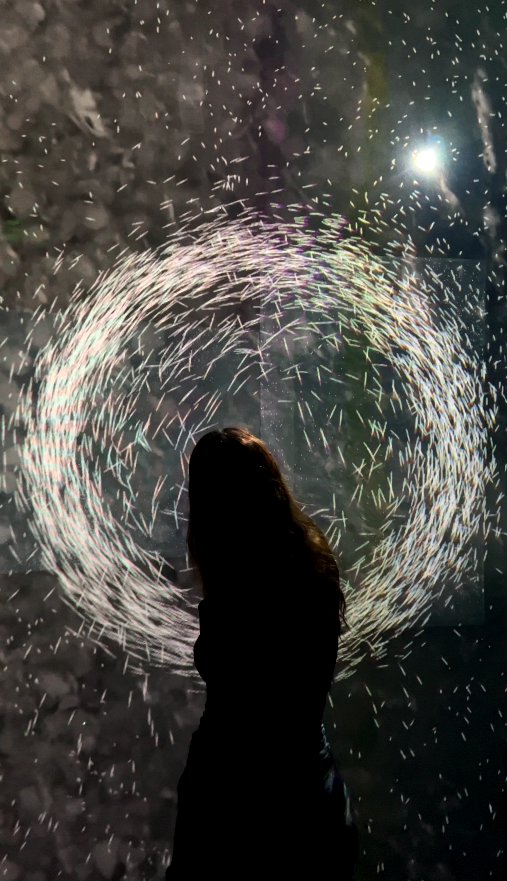 Vue de l'exposition Vue de l'exposition