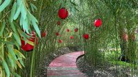 Jardin du Moulin Jaune - Hanami25