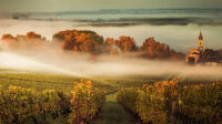 Jean-Bernard-Nadeau-La-Toscane...-dans-le-Bordelais