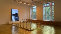 le bicolore - jeannette ehlers - vue exposition 3