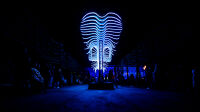 Illuminations Metz, Pierres numériques, Un oiseau de passage Luminariste, © Mathieu Golinvaux (2)
