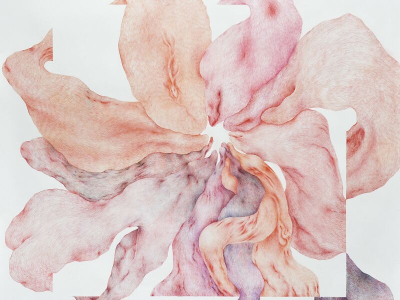 Les fleurs vénéneuses de Tatiana Wolska au Drawing Lab