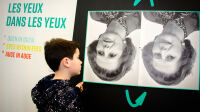 Exposition Illusions. Qui a tort, Qui a raison, La Cité Miroir, Illusions. view of the show © CAL Liège