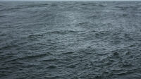 Exposition Wolfgang Tillmans, Centre Pompidou, The State We’re In, 2015