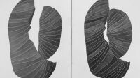salon du dessin espace d'art chaillioux (4)