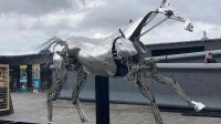 mucem cheval des jo sur le toit