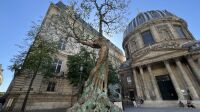 parcours de sculptures dans paris Élan Vital d'Andrea Roggi (4)