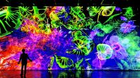 Exposition Digital Floralia , musée des Beaux-Arts d’Angers, Miguel Chevalier, Meta-Nature IA photo Thomas Granovsky