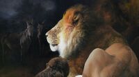 Exposition Les fables de La Fontaine par Bonsard à la Maison des Négociants de Cognac 2