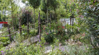 Jardins, jardin 2024, jeudi 30 mai. Parc de la Villa Windsor, Bois de Boulogne, Paris. © Laurent Guichardon.