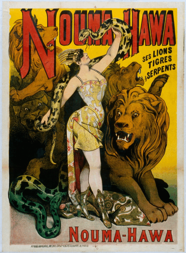 Affiche de spectacle de cirque, affiches encadrées - Muzéo
