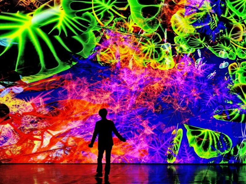 Le top des expositions en régions