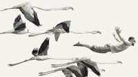 Exposition Ligne de vie, Matmut, ©Fabien Mérelle, Flamants, 2022