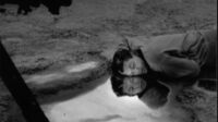 Jean Marais, tournage d'Orphée 1