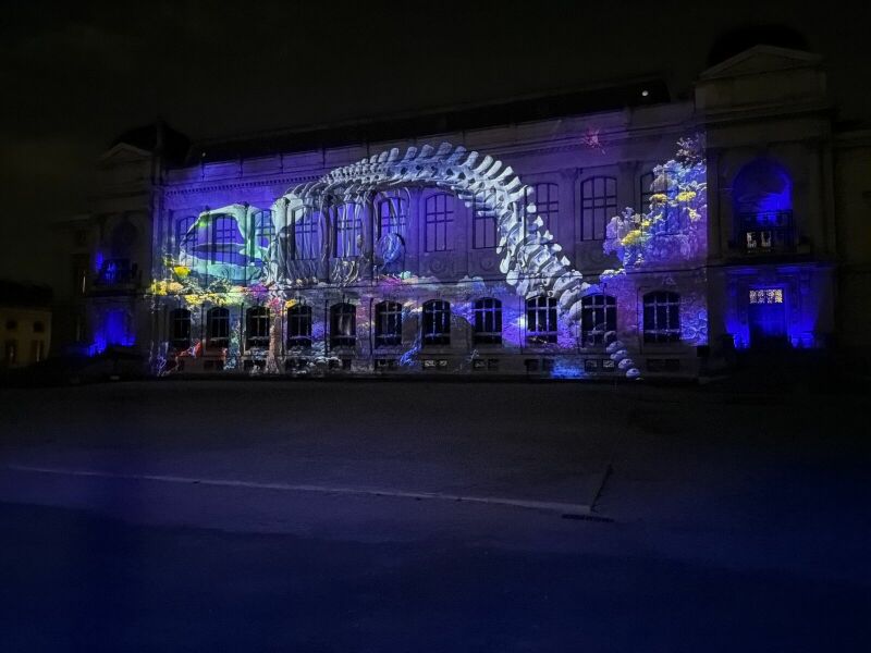 Le nouveau parcours lumineux du Jardin des Plantes Le nouveau parcours lumineux du Jardin des Plantes