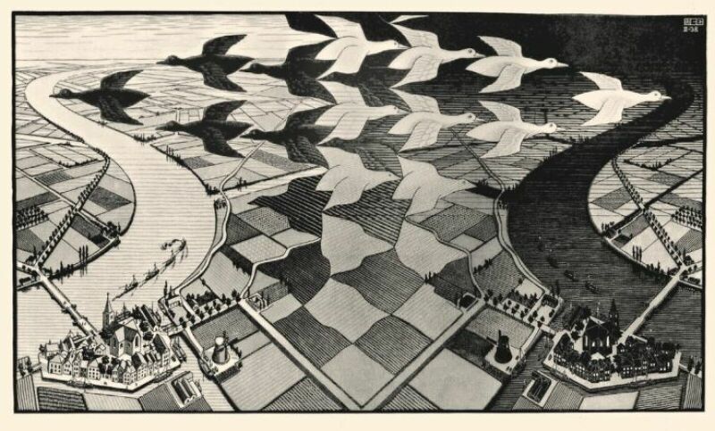 Le TOP des nouveautés ! Le TOP des nouveautés !