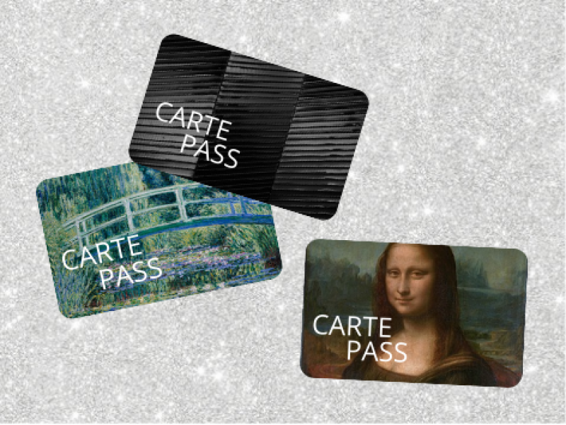 TOP des cartes à offrir : la culture en illimité ! TOP des cartes à offrir : la culture en illimité !