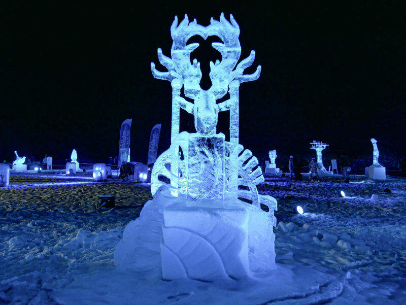 Le concours de sculptures sur glace complètement givré !