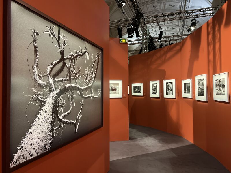 Exposition hommage à Sebastião Salgado à l'Hôtel de Ville de Paris
