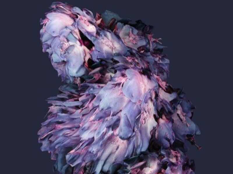 Notre guide des expositions gratuites