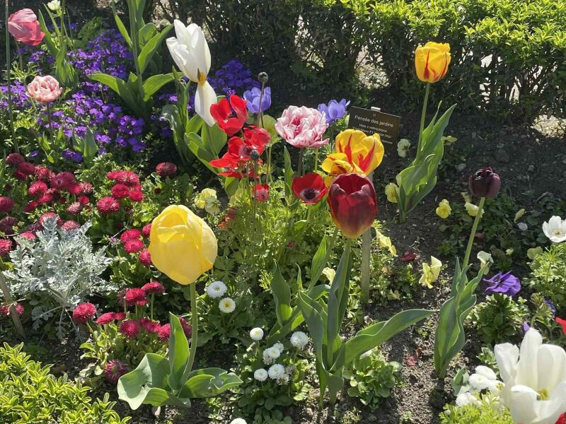 Le jardin des plantes se pare de mille... fleurs !