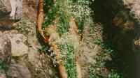 Ana_Mendieta_lead_img.width-1200