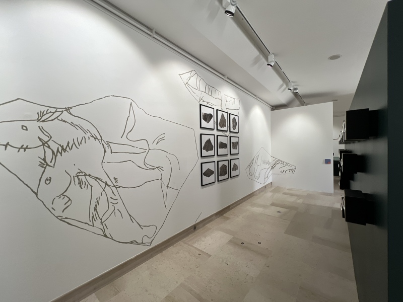 Au fil du trait au Musée Joseph Déchelette 