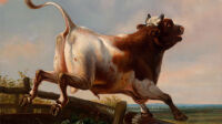 EXPO-la-vache