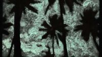 Photographie Bételgeuse dans le noir ©Véronique Caye