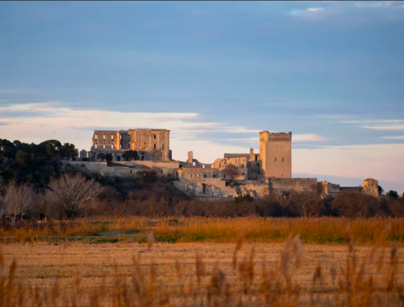 La Méditerranée immortalisée à l'abbaye de Montmajour
