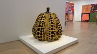 Yayoi Kusama, citrouille jaune dans la salle des peintures, Stedelijk Museum Grande citrouille jaune à pois noirs devant les salles de peintures, exposition Yayoi Kusama au Stedelijk Museum d'Amsterdam