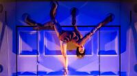 Entre chiens et louves, Cirque Le Roux, Théâtre des Champs-Élysées Entre chiens et louves, Cirque Le Roux, acrobate suspendue