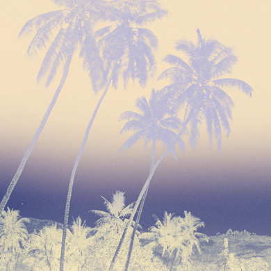 Voir Tahiti au musée du quai Branly - Jacques Chirac