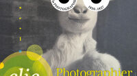 Exposition Clic, photographier pour raconter, au musée de l’Illustration jeunesse à Moulins