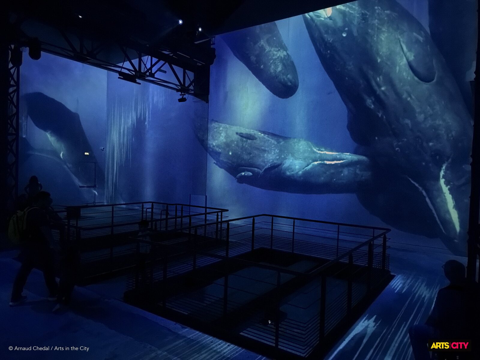 Baleines géantes projetées sur les murs de l'Atelier des Lumières au-dessus du bassin de l'ancienne fonderie, dans l'exposition immersive Planète Océan