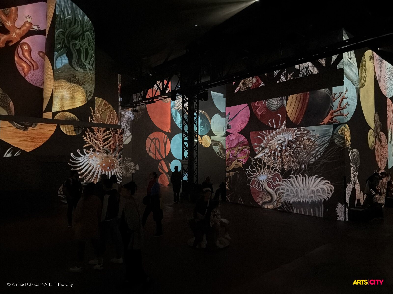 Anémones, coraux et coquillages projetés en grands médaillons colorés sur les murs de l'Atelier des Lumières, dans la séquence des jardins de corail de Planète Océan
