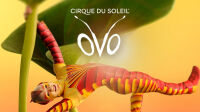 OVO, Cirque du Soleil OVO, Cirque du Soleil
